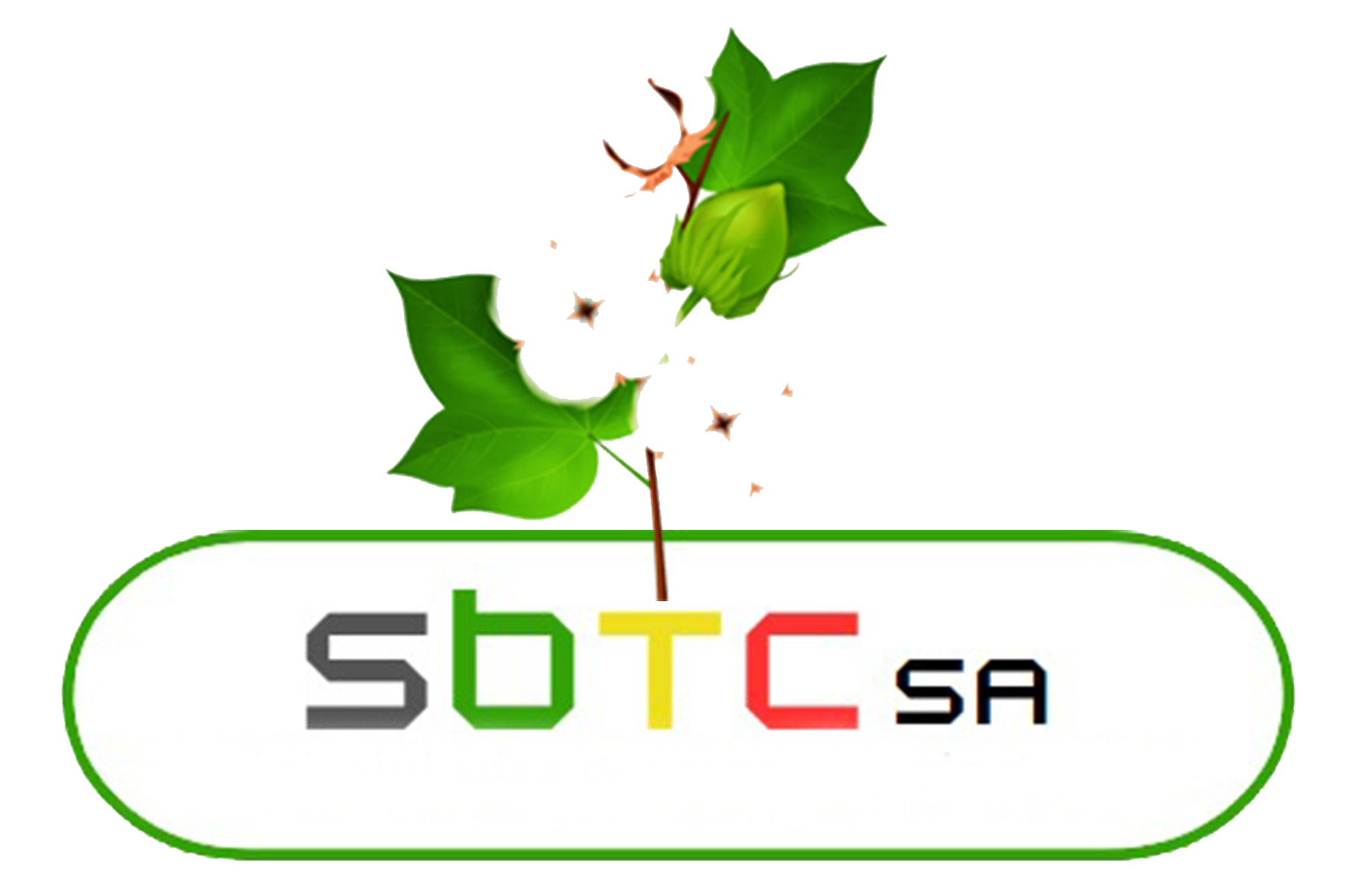 cropped-logo-sbtc-copie.png